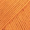 67 pumpkin uni