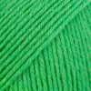 118 parrot green uni